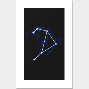 Monoceros Caeli Constellation Posters and Art